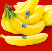 Penny  CHIQUITA Bananen