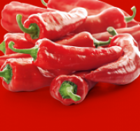 Penny  Roter Spitzpaprika