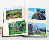 Aldi S&uuml;d  Einsteck-Fotoalbum