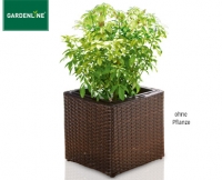 Aldi S&uuml;d  GARDENLINE&reg;Geflecht-Pflanzgef&auml;&szlig;