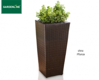Aldi S&uuml;d  GARDENLINE&reg;Geflecht-Pflanzs&auml;ule