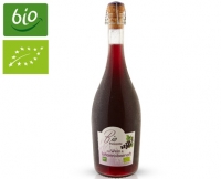 Aldi S&uuml;d  BIO Frizzante mit Saft aus biologischem Anbau