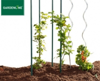 Aldi S&uuml;d  GARDENLINE&reg;4 Pflanz- oder 2 Tomaten-Spiralst&auml;be