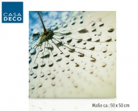 Aldi S&uuml;d  CASA DECO&reg;Dekoratives Glasbild