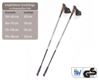 Aldi S&uuml;d  ADVENTURIDGE&reg;Nordic-Walking-St&ouml;cke Carbon