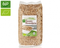 Aldi S&uuml;d  BIO Kerne