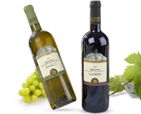 Aldi S&uuml;d  Wein aus dem Trentin