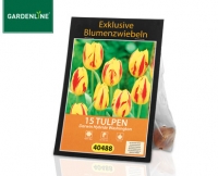 Aldi S&uuml;d  GARDENLINE&reg;Exklusive Herbst-Blumenzwiebeln