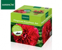 Aldi S&uuml;d  GARDENLINE&reg;Pfingstrose-Anzuchtset