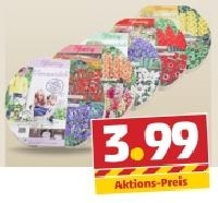 Penny  45 Blumenzwiebeln in einem Tray