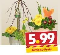 Penny  Fr&uuml;hlings-Mix