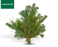 Aldi S&uuml;d  GARDENLINE&reg;Tannengr&uuml;n Handbund