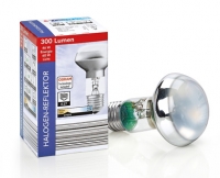 Aldi S&uuml;d  LIGHTWAY&reg;Reflektor-Halogenlampe