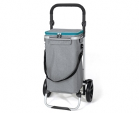 Aldi S&uuml;d  Einkaufstrolley