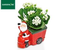 Aldi S&uuml;d  GARDENLINE&reg;Bepflanzte Weihnachtskeramik