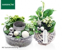 Aldi S&uuml;d  GARDENLINE&reg;Pflanzenschale Winter