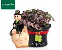 Aldi S&uuml;d  GARDENLINE&reg;Gl&uuml;cksbringer
