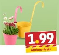 Penny  Zink-H&auml;ngetopf