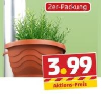 Penny  Regenrohr-T&ouml;pfe