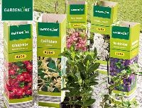 Aldi S&uuml;d Gardenline Zierstrauch oder
