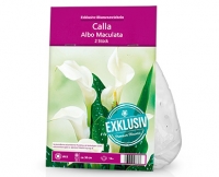 Aldi S&uuml;d  Exklusive Blumenzwiebeln