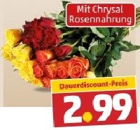 Penny  Fairtrade Rosen