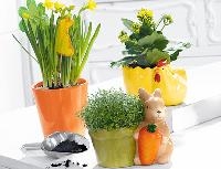 Aldi S&uuml;d Gardenline Bepflanzte Osterkeramik