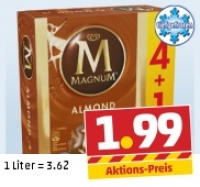 Penny  LANGNESE Magnum
