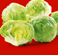 Penny  Eisbergsalat