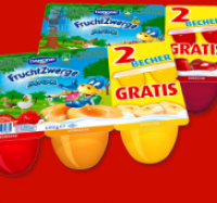 Penny  DANONE Fruchtzwerge Maxi