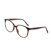 Aldi S&uuml;d  LOOKS BY WOLFGANG JOOP Lesehilfe mit Etui
