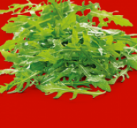 Penny  Rucola-Salat