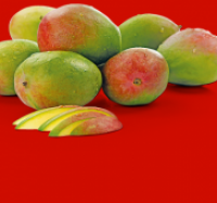 Penny  Mango