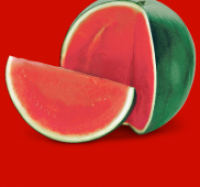 Penny  Wassermelone Fashion