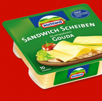 Penny  HOCHLAND Sandwich-K&auml;sescheiben