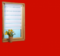 Penny  SF Fenster-Doppel-Rollo