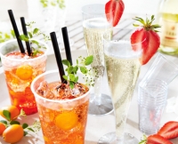 Aldi S&uuml;d  Einwegbecher oder -gl&auml;ser