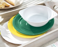 Aldi S&uuml;d  Einweggeschirr