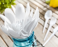 Aldi S&uuml;d  Einwegbesteck